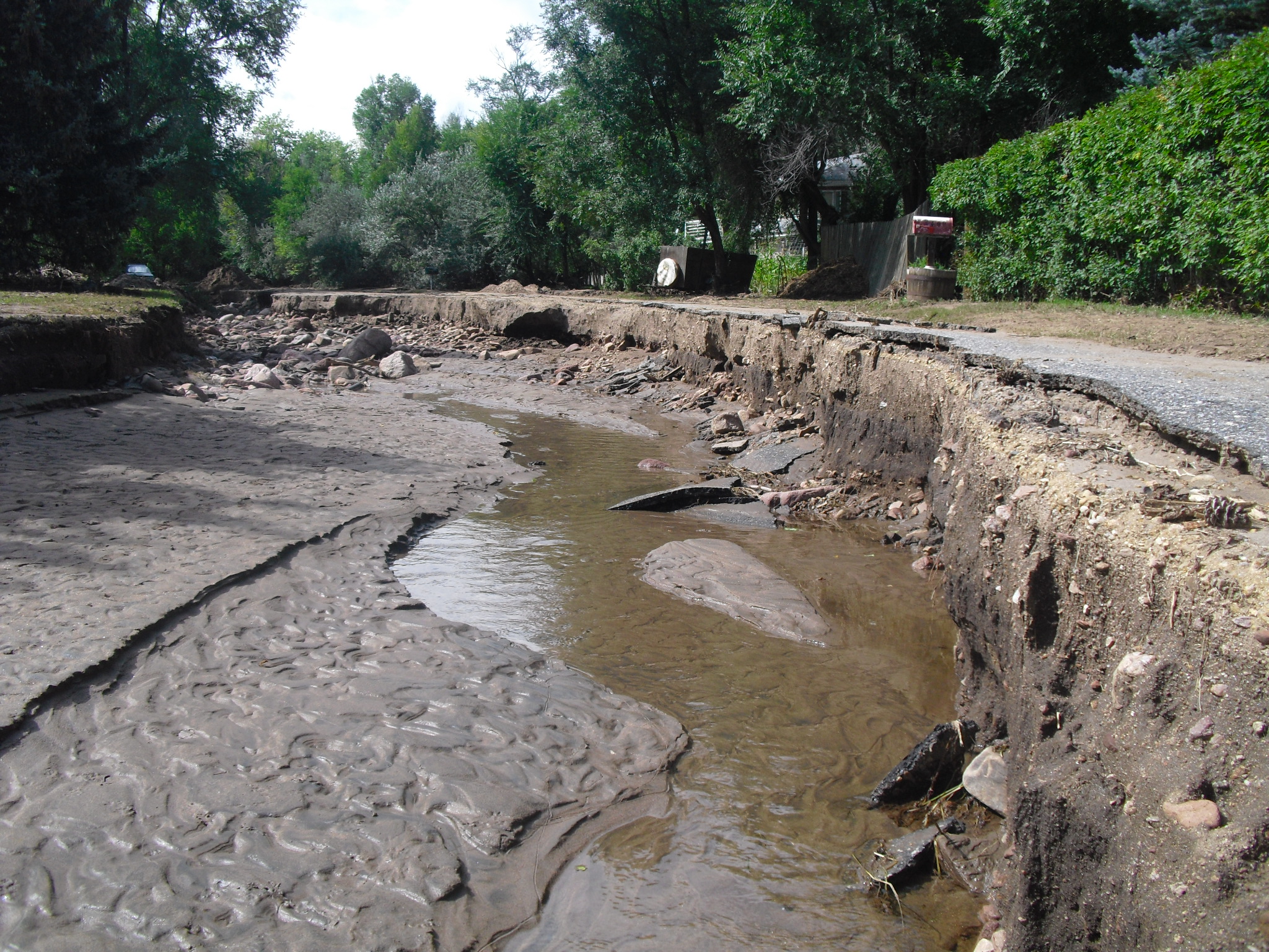 Fourmile Canyon Ck Overflow Along Topaz Drive